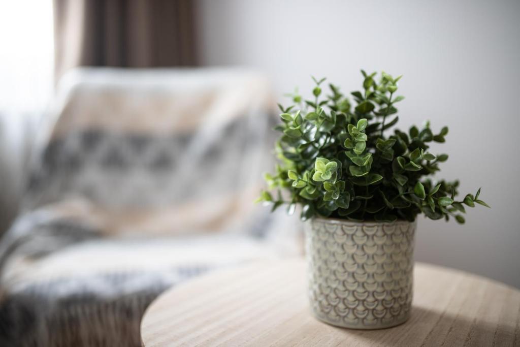 Posezení v ubytování Vazov Apartment