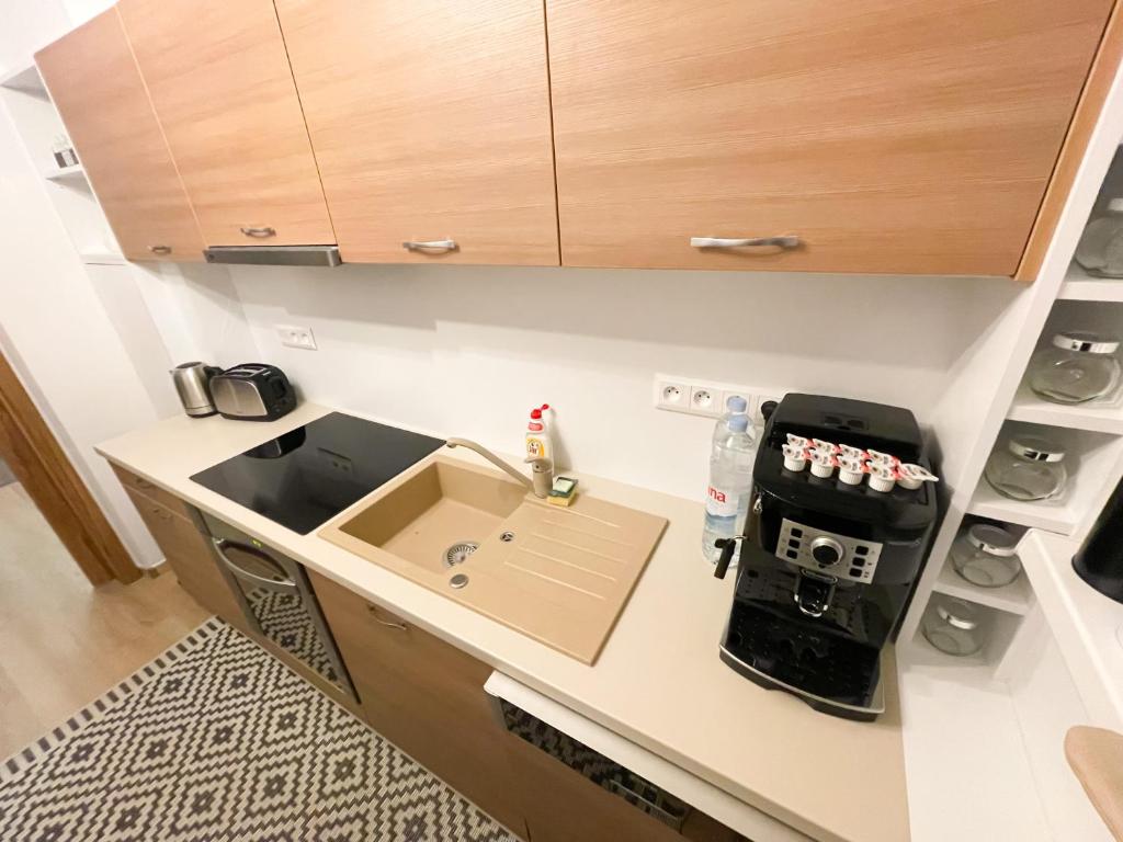 Kuchyň nebo kuchyňský kout v ubytování Apartman Anita