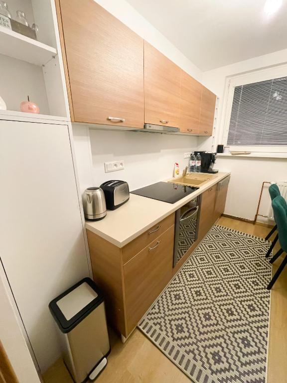 Kuchyň nebo kuchyňský kout v ubytování Apartman Anita