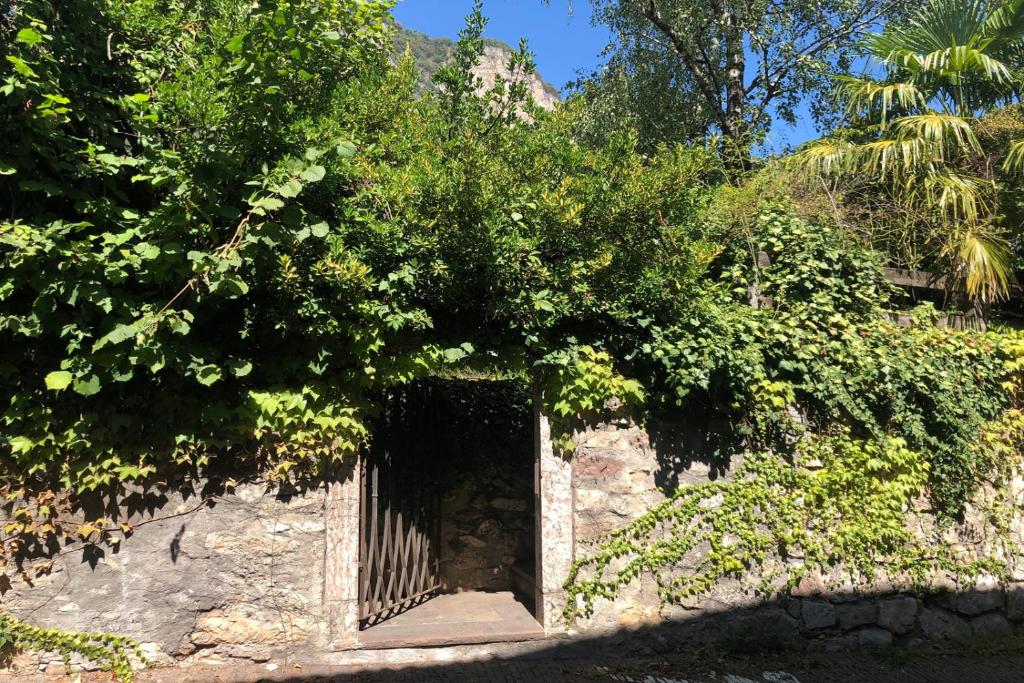 Zahrada ubytování Cirillo Guesthouse