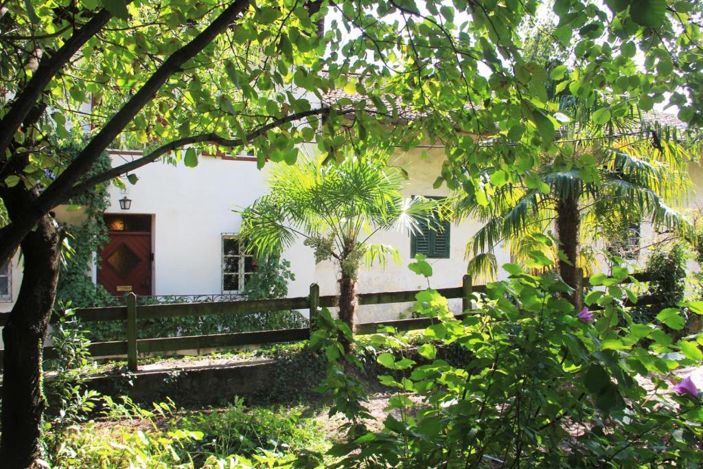 Zahrada ubytování Cirillo Guesthouse