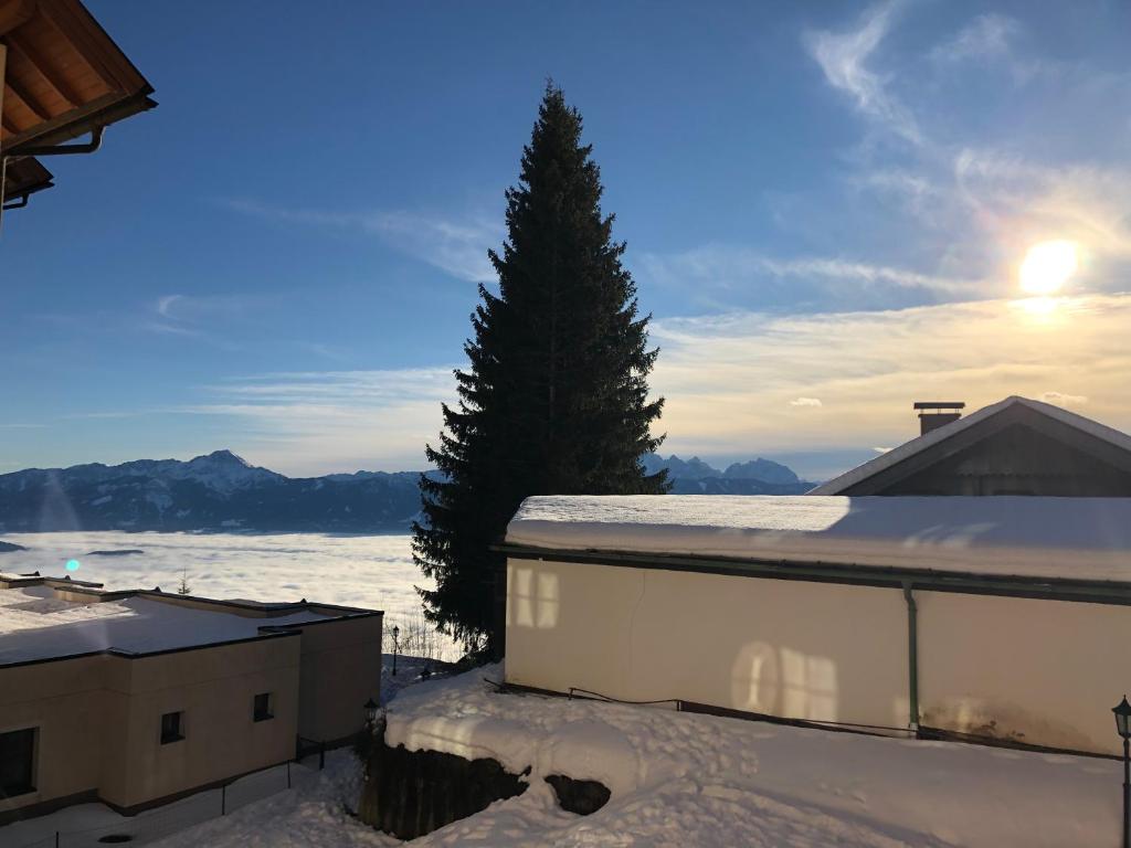 Kanzelhöhe的住宿－Familienapartment Sonne und Schnee，雪上建筑物顶部的树