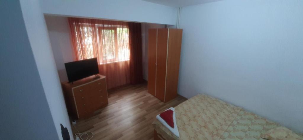 マンガリアにあるApartament Parter 1 Strada Pictor Tonitzaのベッド1台とテレビが備わる小さな客室です。