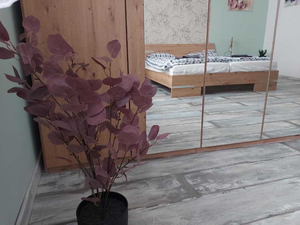 Fotografia z galérie ubytovania Crystal Apartman v destinácii Eger
