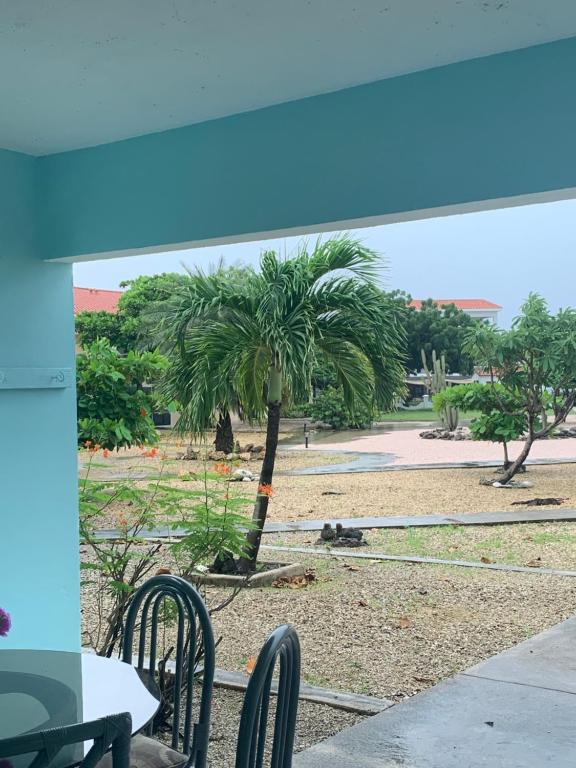 Sand Dollar Apartment B11 Serenity By The Sea, Kralendijk Updated