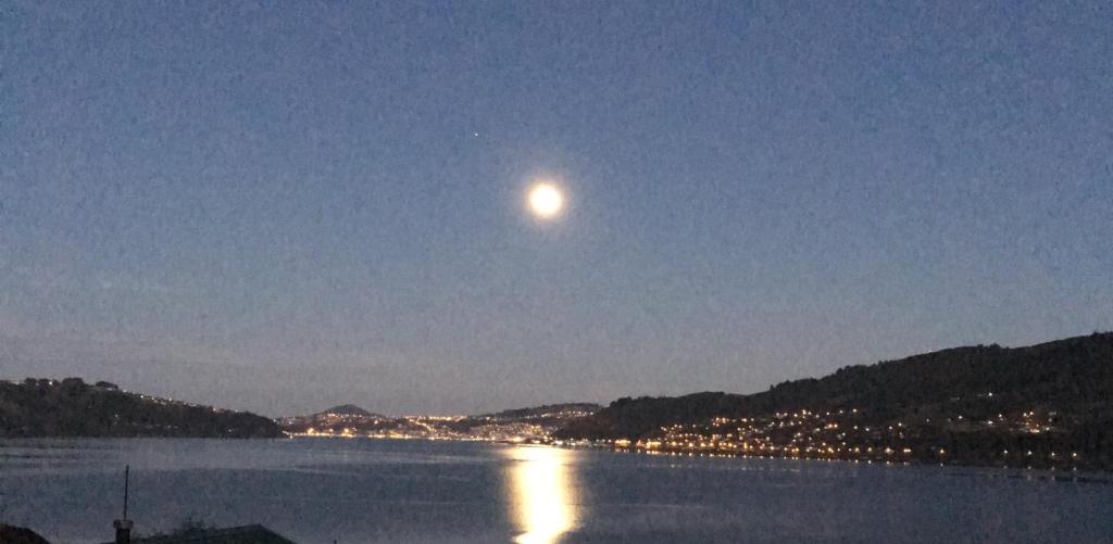 Otago Peninsula Paradise - Resim 15