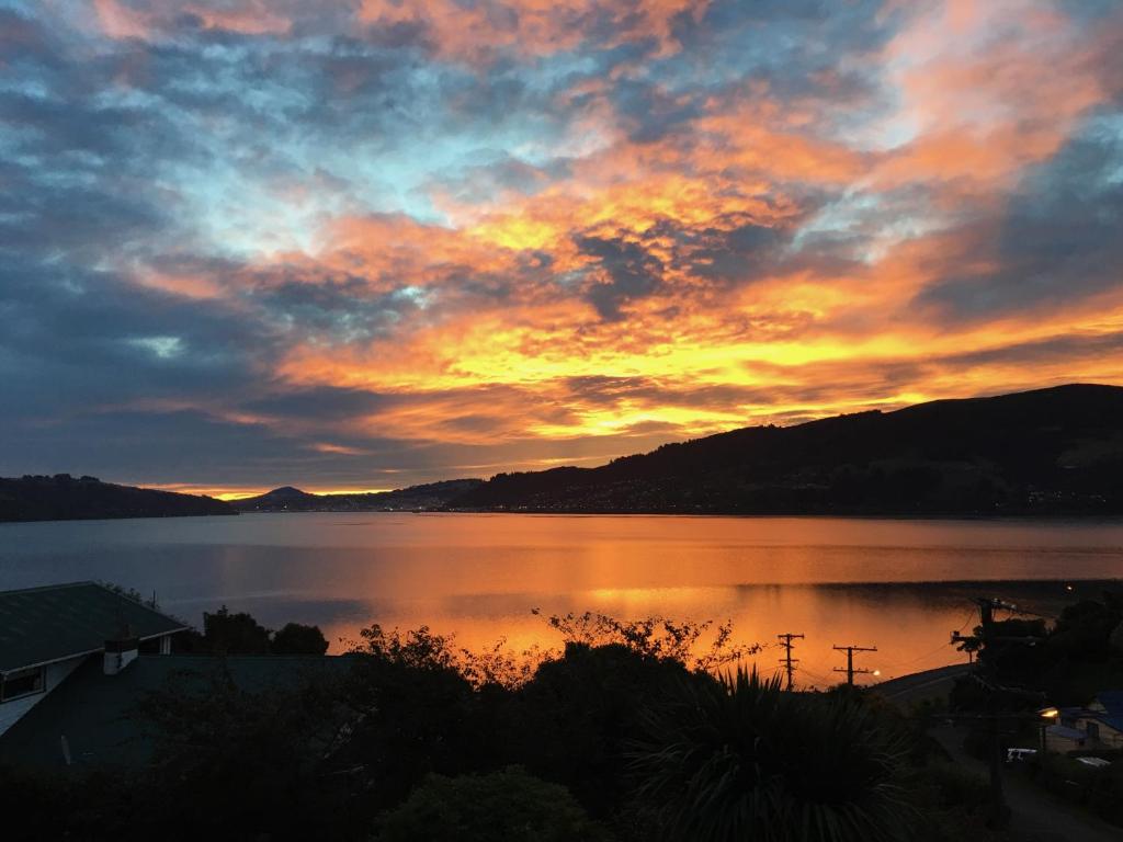 Otago Peninsula Paradise - Resim 19