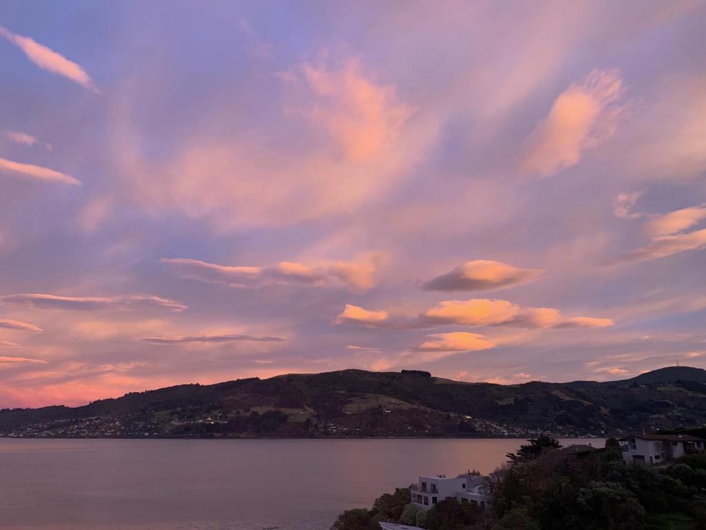 Otago Peninsula Paradise - Resim 20