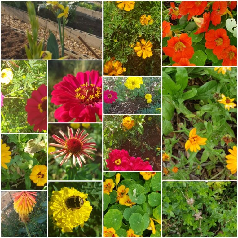 ReRooted Permaculture Farmstay - Appartement D'une Chambre