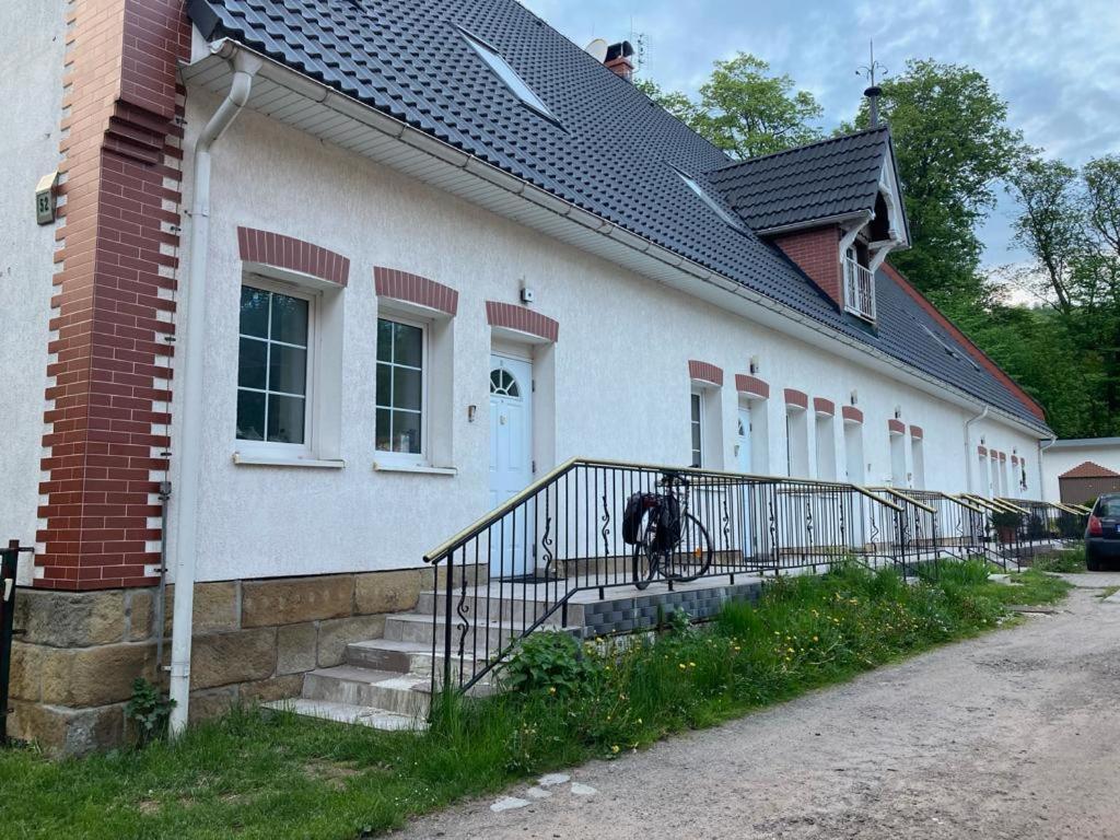 Ein schwarzer Hund sitzt auf dem Balkon eines Hauses. in der Unterkunft Apartament pod Stożkiem in Sokołowsko