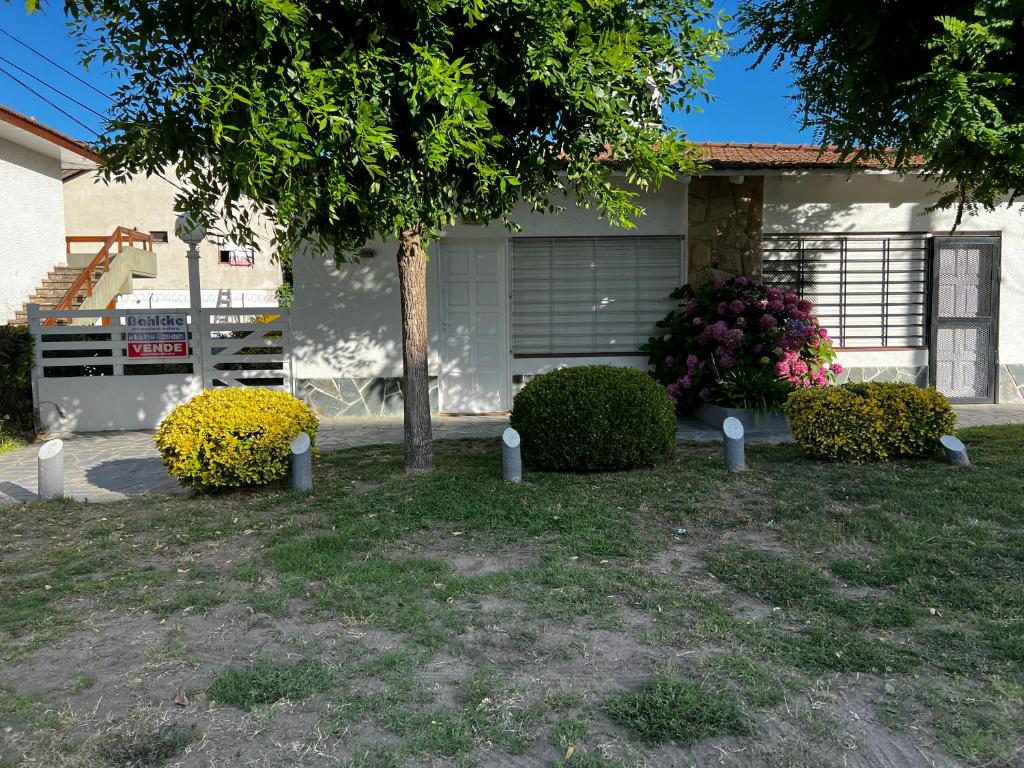 ein Haus mit Büschen und einem Baum im Hof in der Unterkunft PH a 1 cuadra de la playa, 2 amb, patio y parrilla in Villa Gesell