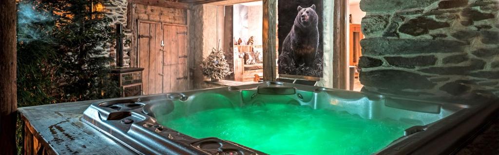 a bath tub filled with green water next to a window at La Bergerie du Miravidi in Bourg-Saint-Maurice