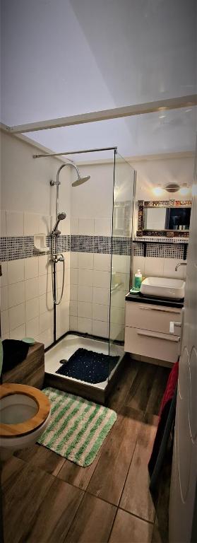 Koupelna v ubytování TITIRI Appartement