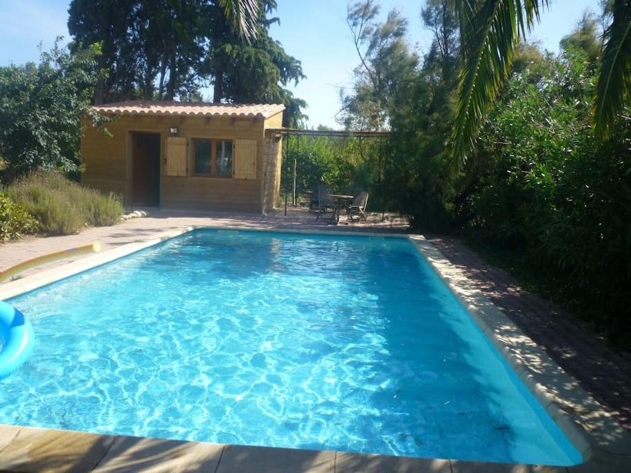 a large blue swimming pool in front of a house at Duplex 130m2 dans un mas entouré de vergers - piscine in Saint-Féliu-dʼAvall