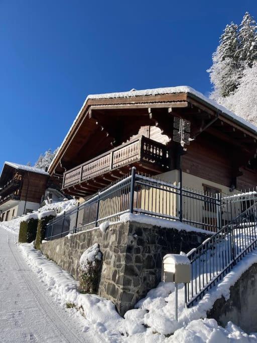 Chalet Cocoon v zimě
