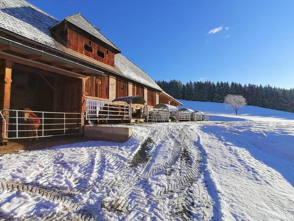 Staudachhof v zime