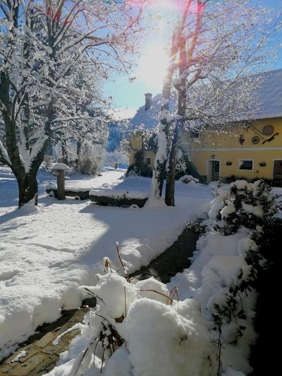 Príroda v okolí apartmánu