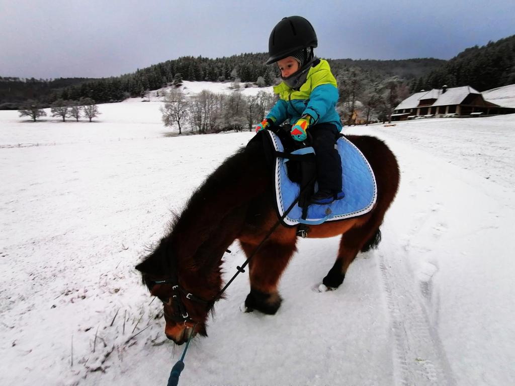 Hostia v ubytovaní Staudachhof