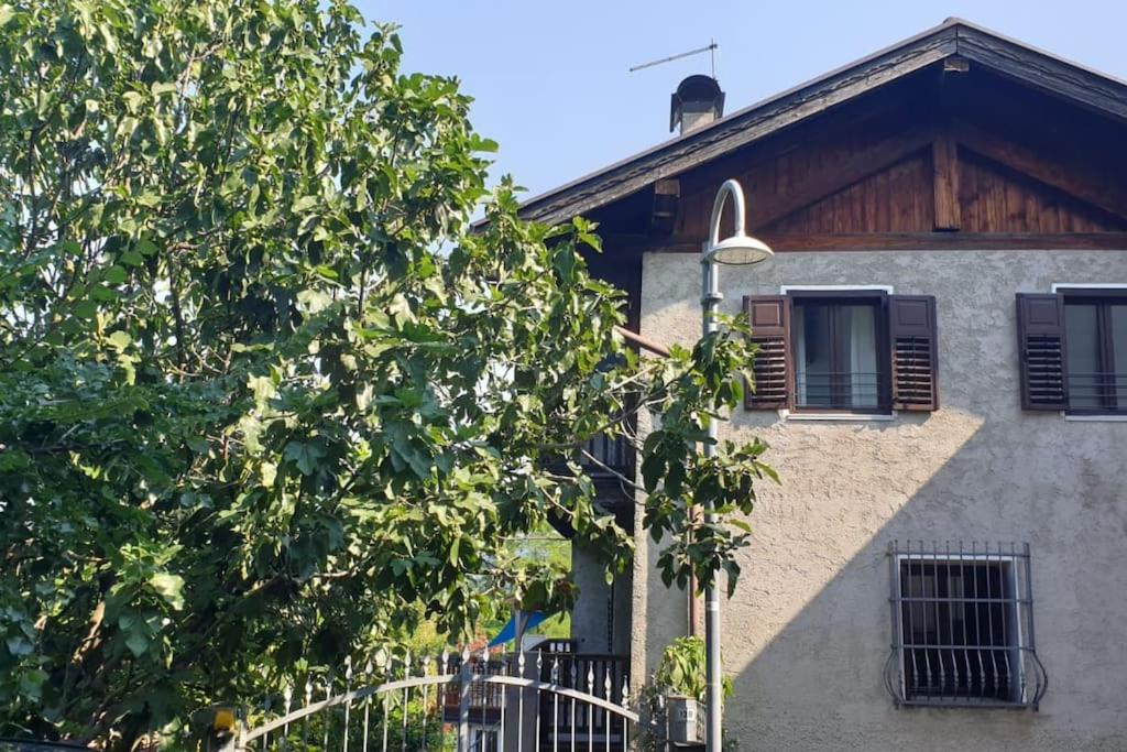 a building with a tree and a street light at Cà dei Zoani casa vacanze 022139 AT 722787 in Pergine Valsugana