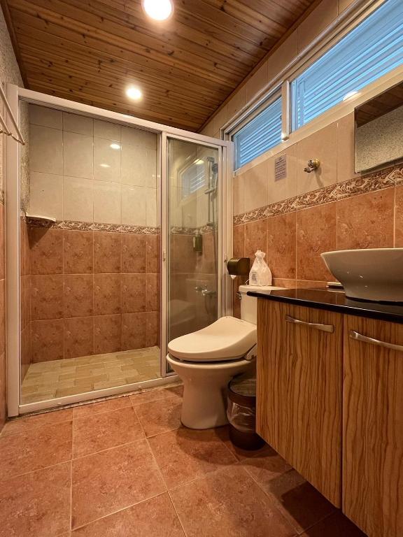 a bathroom with a shower and a toilet and a sink at Cingjing Vienna Pleasance Cottage in Ren&#39;ai