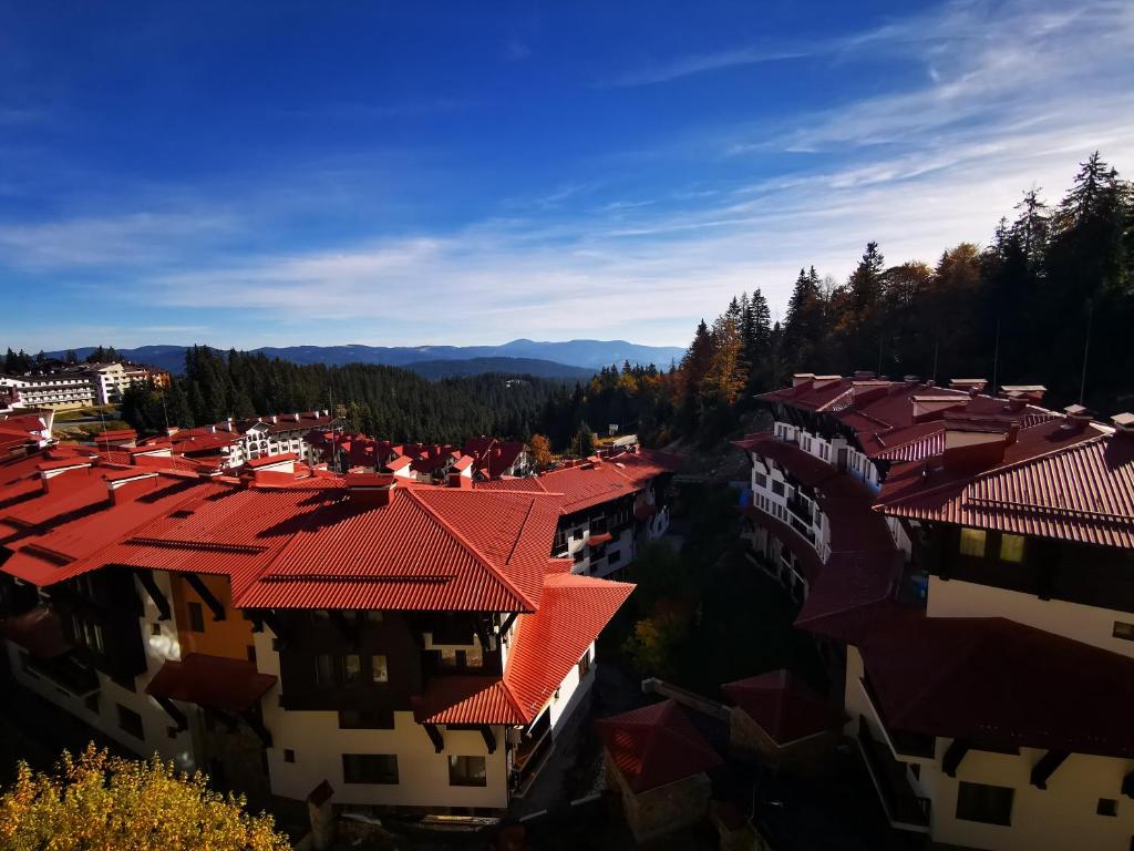 Příroda nedaleko apartmánu