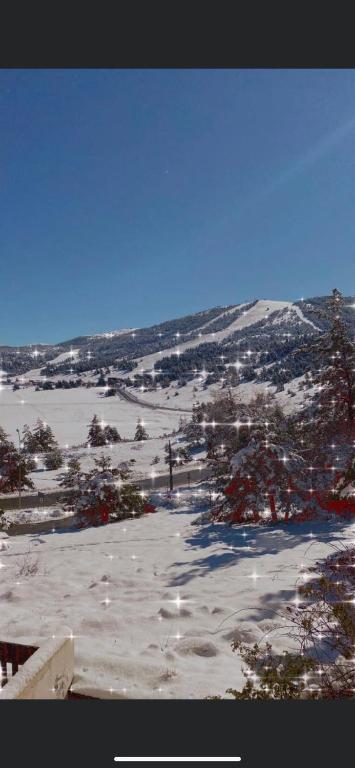 Zdjęcie z galerii obiektu Un petit coin de paradis beau 2 pièces w mieście Gréolières