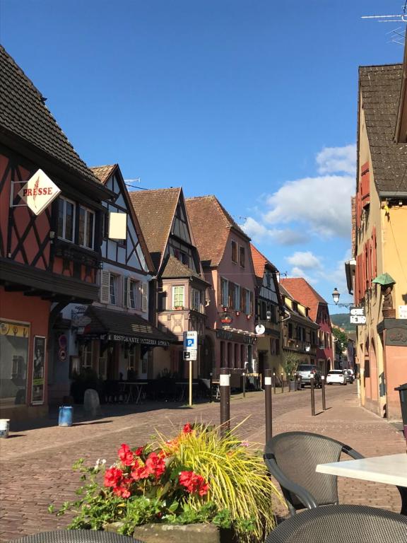 a street in a town with buildings and flowers at Gite les Remparts de Turckheim in Turckheim