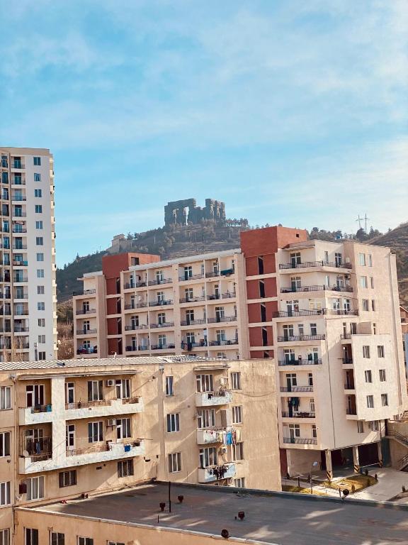 Georgian StonehengEEE - One-Bedroom Apartment