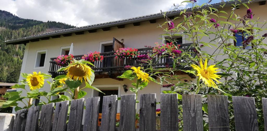 Výhľad na hory alebo výhľad na hory priamo z apartmánu