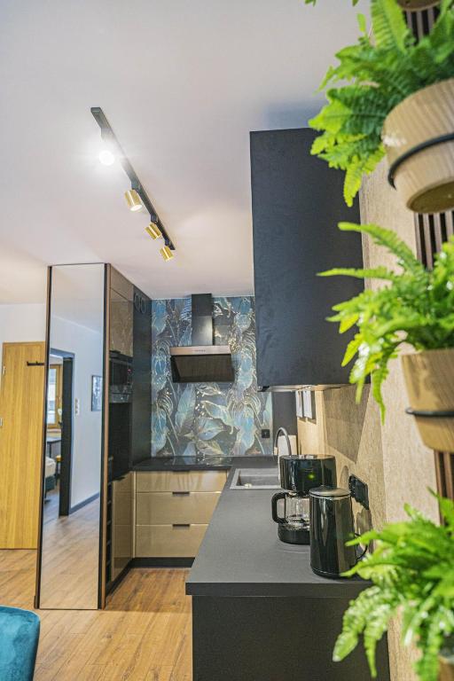 Kuchyňa alebo kuchynka v ubytovaní Apartament Kilińskiego 17a,2