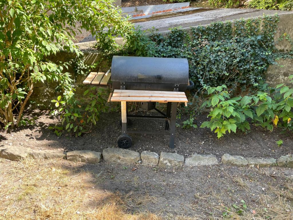 Sprzęt do grillowania w apartamencie