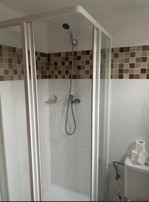 W łazience znajduje się prysznic ze szklanymi drzwiami. w obiekcie Apartmán 430 w mieście Deštné v Orlických horách