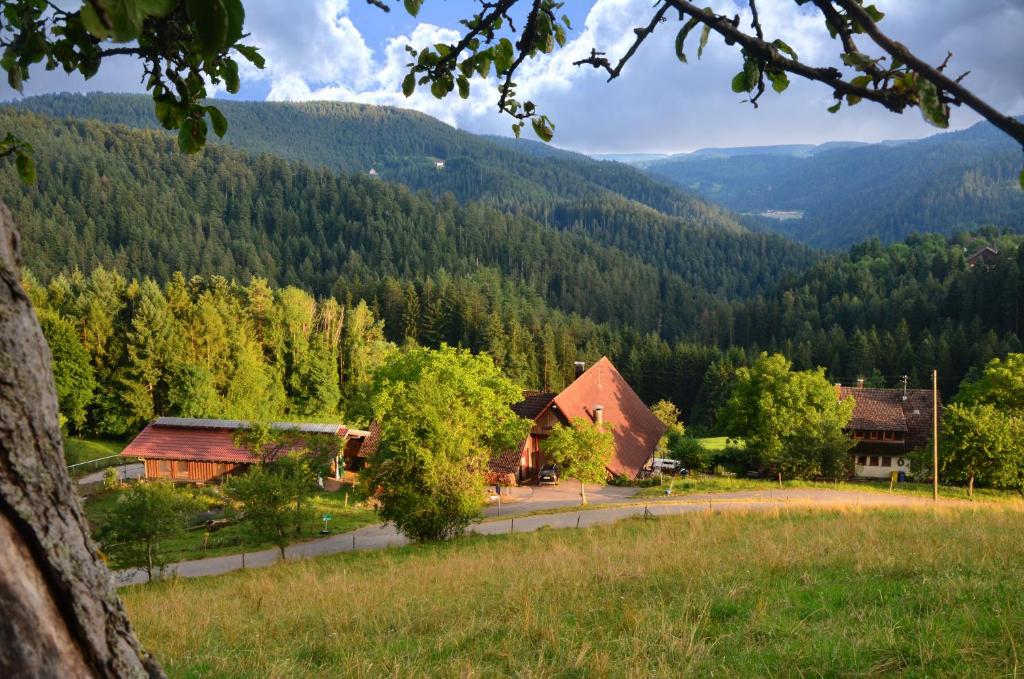 a view of a valley with a house and trees at Hansjörgenhof Bioland-Hof in Schiltach