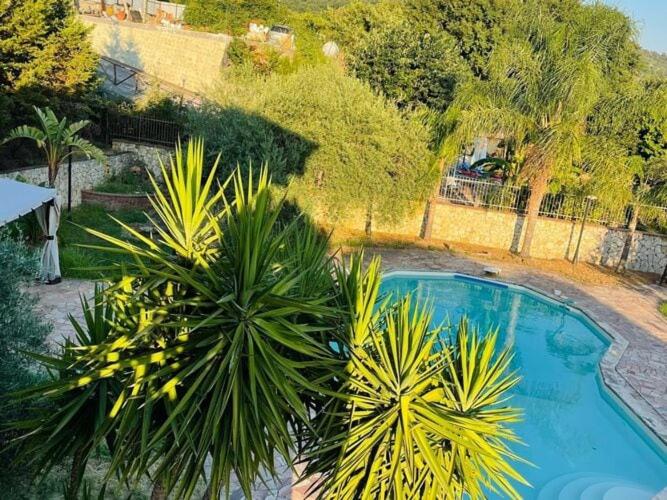 una vista aérea de una piscina con plantas en Holiday home in Francavilla di Sicilia, en Francavilla di Sicilia