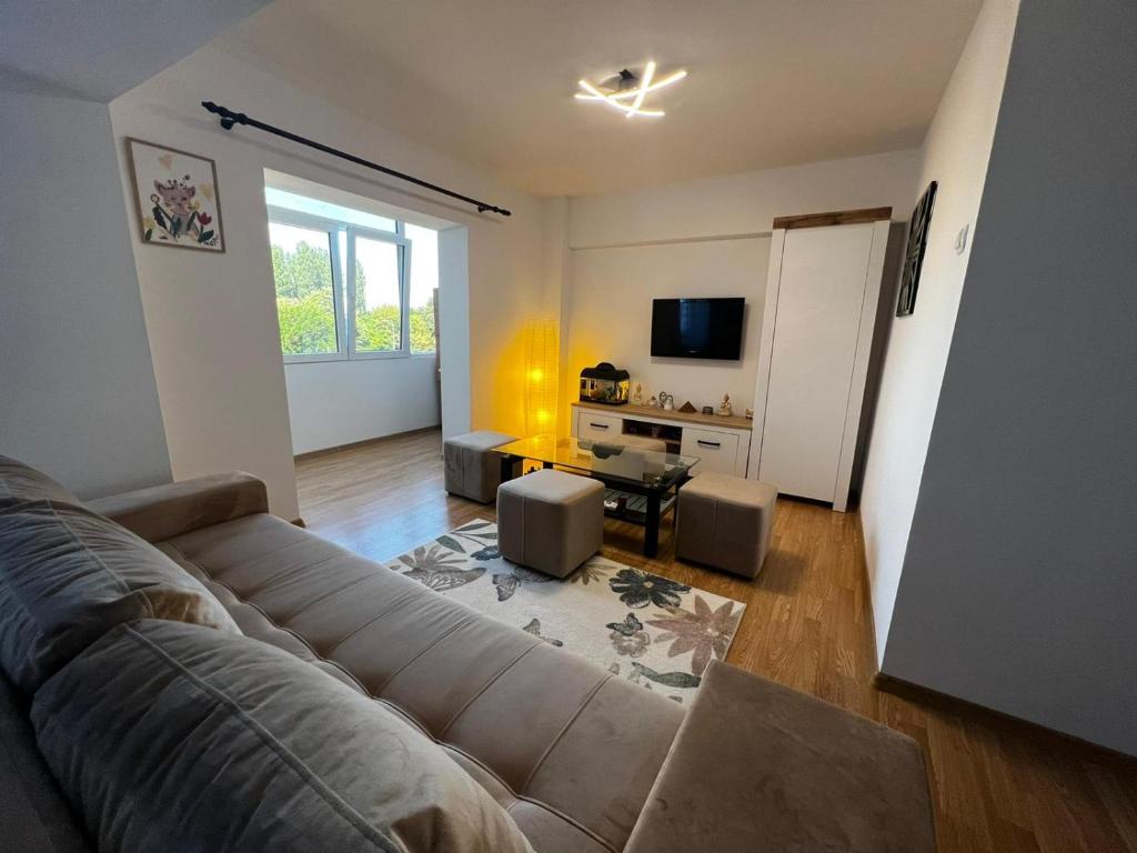 Delphinarium beach - Housity