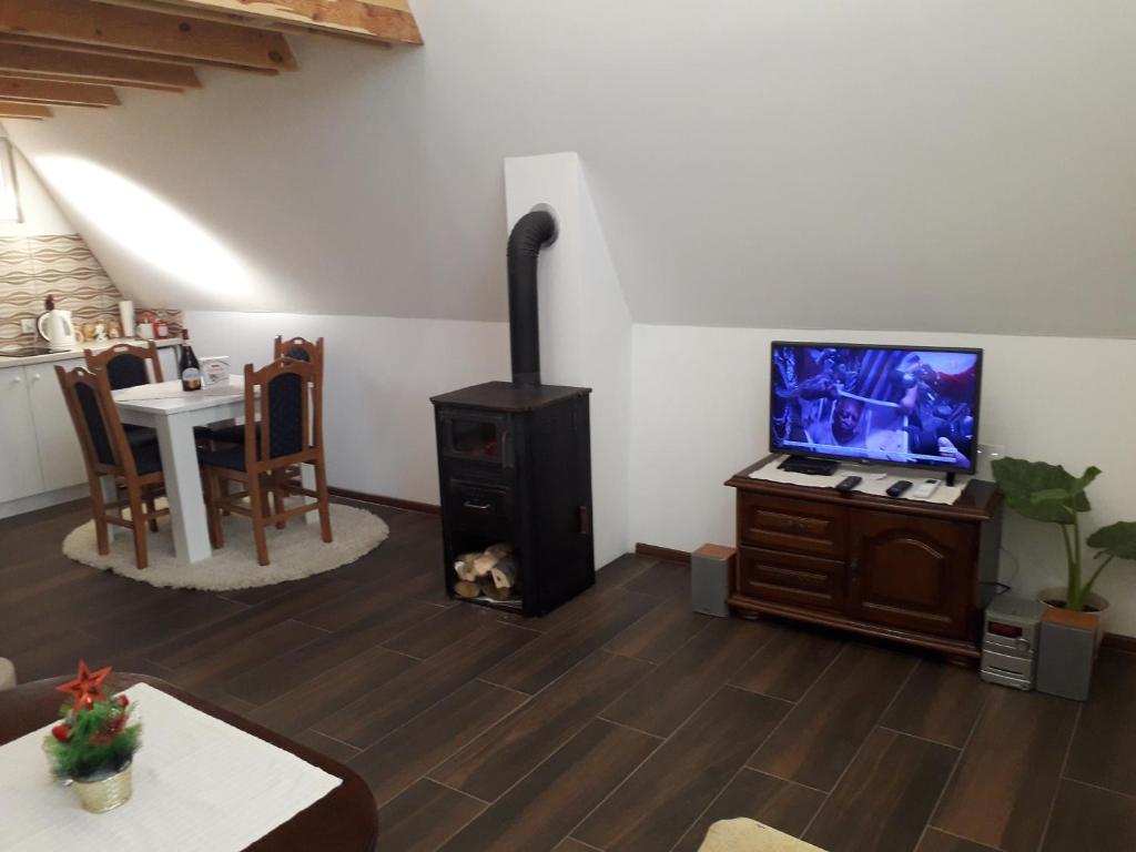 TV a/nebo společenská místnost v ubytování Čivova brvnara