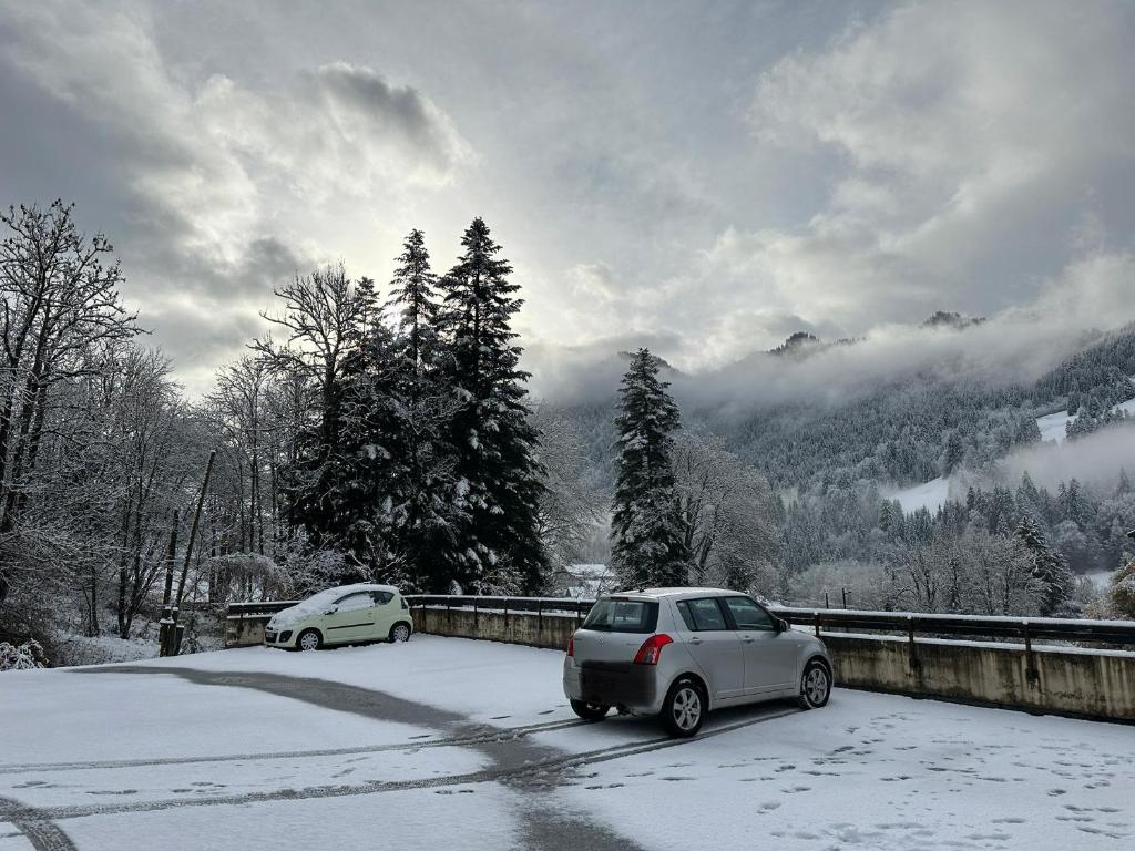 zwei Autos auf einem schneebedeckten Parkplatz in der Unterkunft Studio de 20m2 mansardé in La Chapelle-dʼAbondance