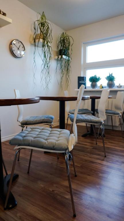 Fotografie z fotogalerie ubytování Motel Arctic Wind v destinaci Vogar