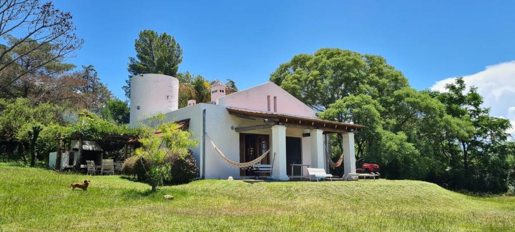 ein Haus auf einem Hügel mit einem Hund davor in der Unterkunft La Calma Casa de Campo - Villa Parque Siquiman in Villa Parque Siquiman