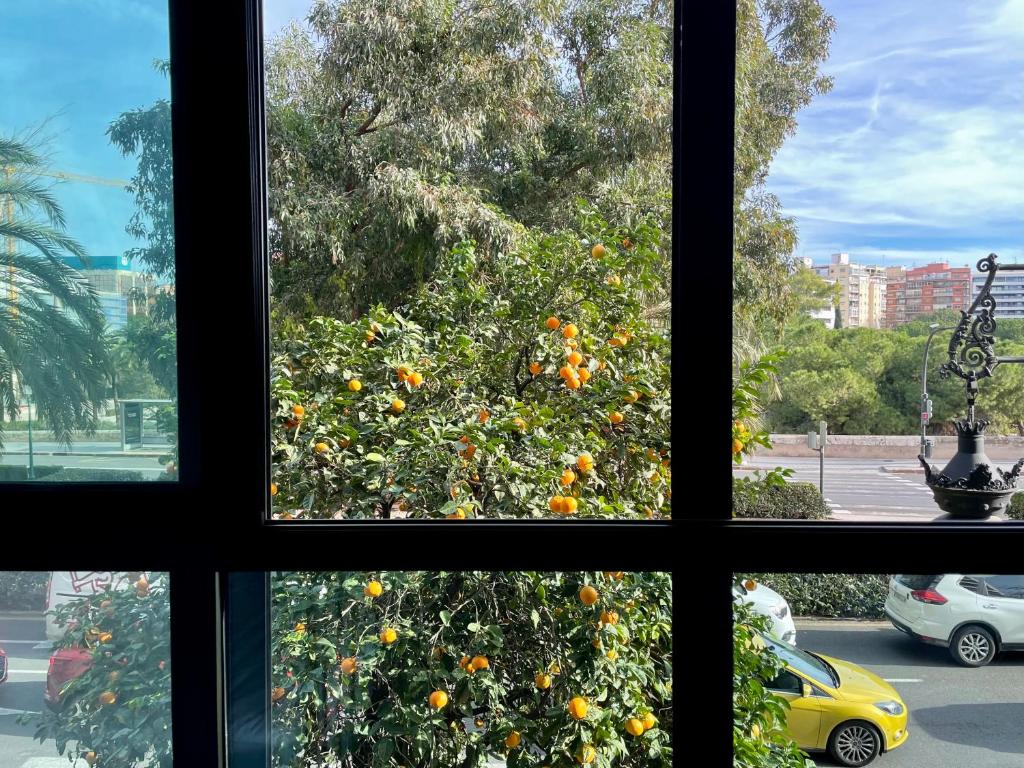 MD Modern Hotel - Jardines - Resim 19