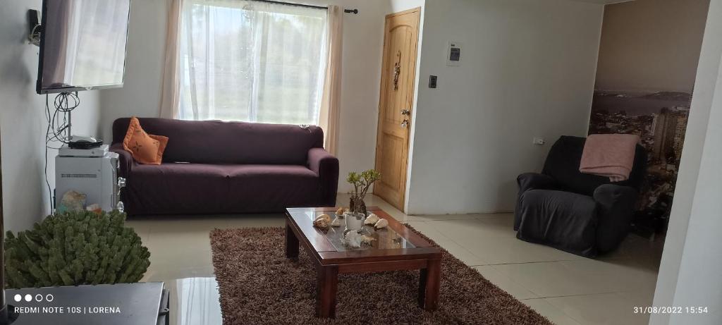 Sala de estar con sofá púrpura y mesa de centro en Casa de campo Llifén Futrono Lago Ranco, en Ranco
