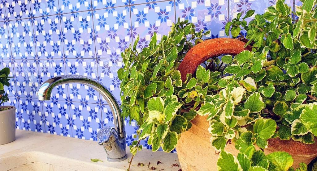 Luna Rossa - Apartamento De Dois Quartos Com Terraço