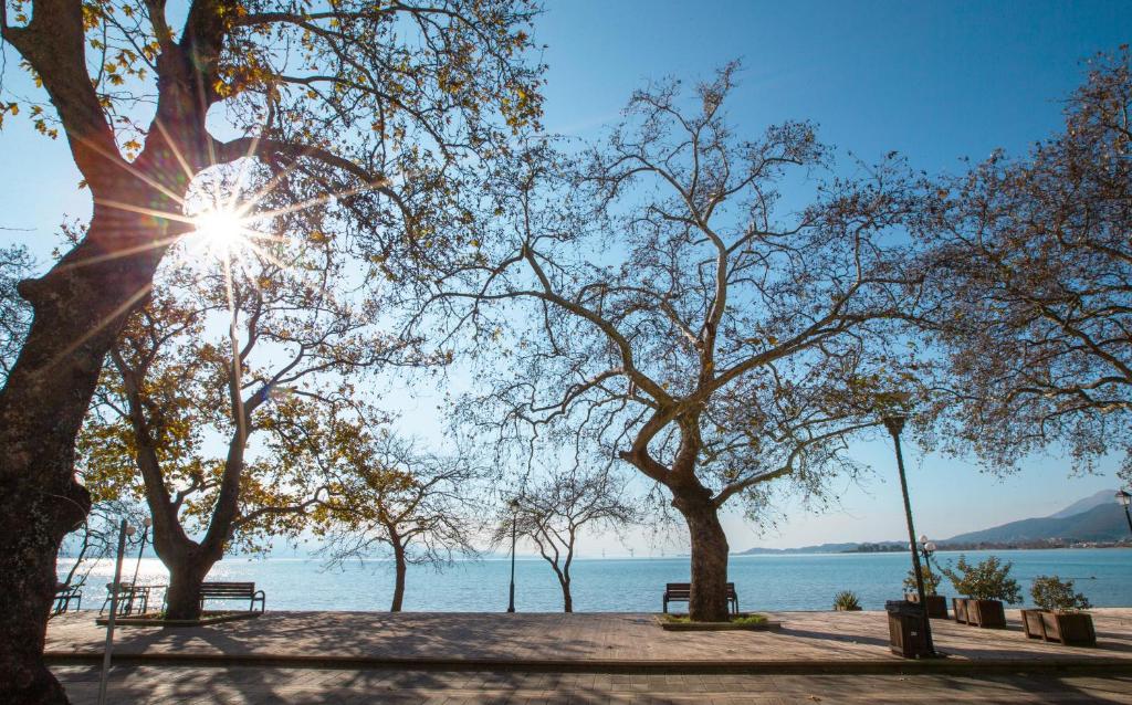 a group of trees and benches next to the water at Liros House in Nafpaktos