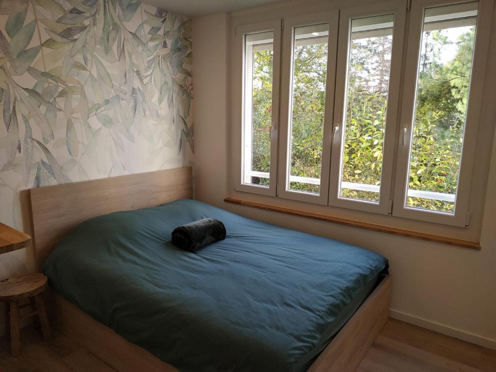 A bed or beds in a room at Studio Nature, le calme à 2 pas du centre-ville