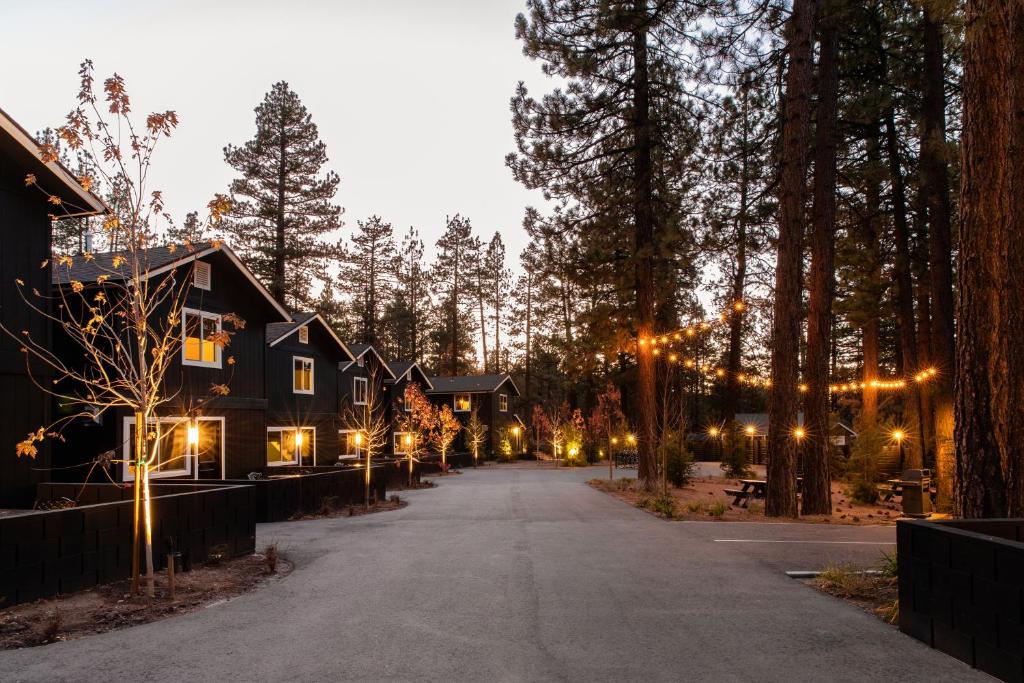 a driveway leading up to a house with lights on it at NP Boutique Lodge in Big Bear Lake
