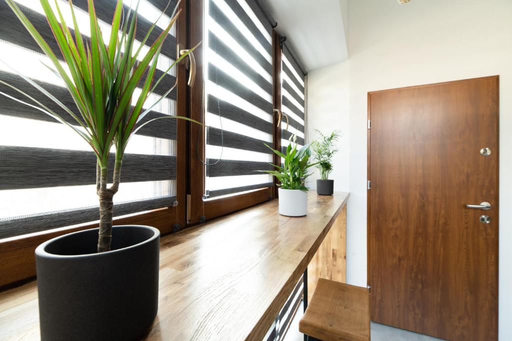 NEO UNIQUE & BRIGHT Apartments, FREE PARKING, 15min Old Town & Kazimierz - by Homelike Krakow - 9