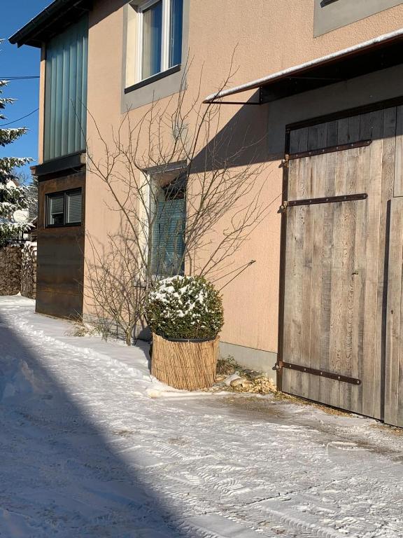 a building with a wooden garage door and a bush at ALB-APARTMENT-WESTERHEIM Kurort in Westerheim