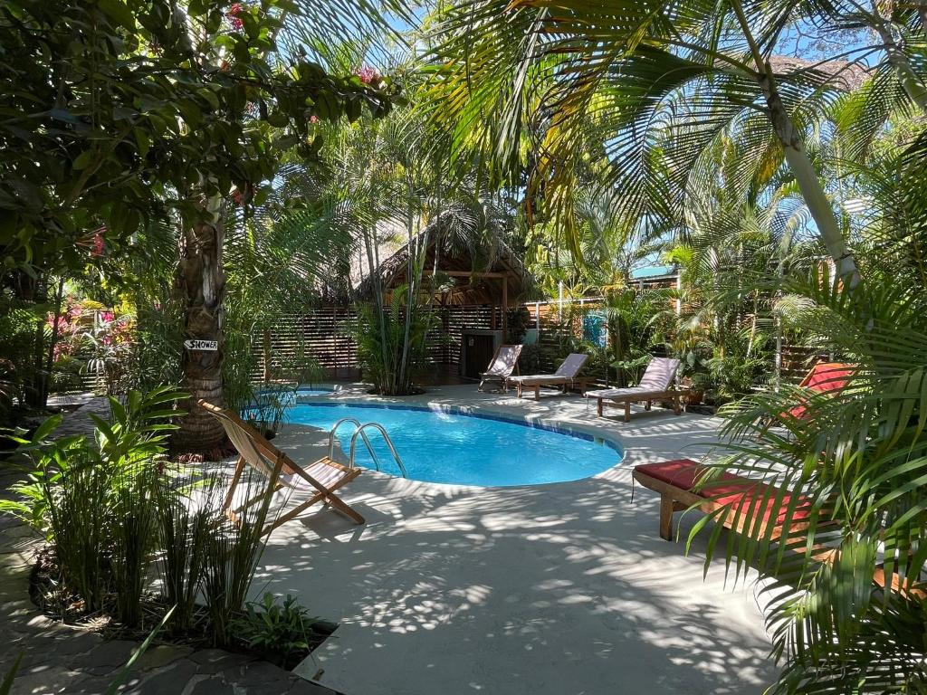 una piscina en un patio con palmeras en Anam Apartments, en Santa Teresa Beach