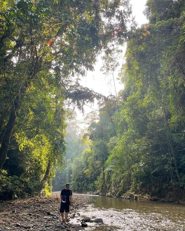 Staycation The Natural Lodges on The Landak River – Bukit Lawang – Orang Utan
