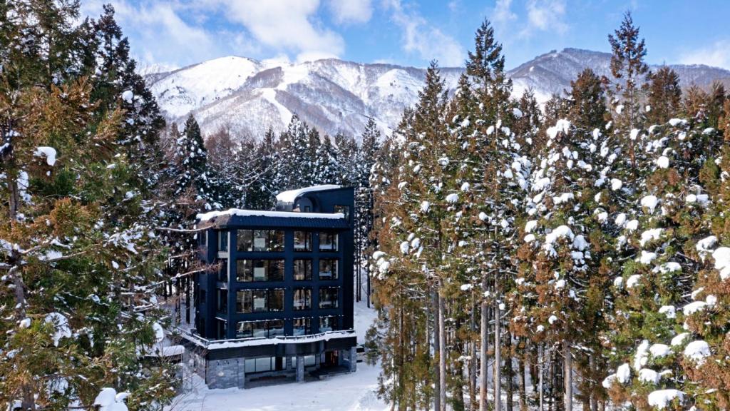 Hakuba Platinum v zimě